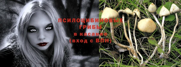 СК Гусев
