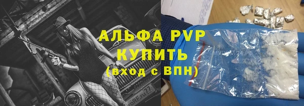 СК Гусев