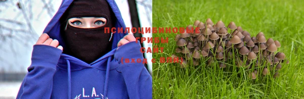 spice Гусь-Хрустальный